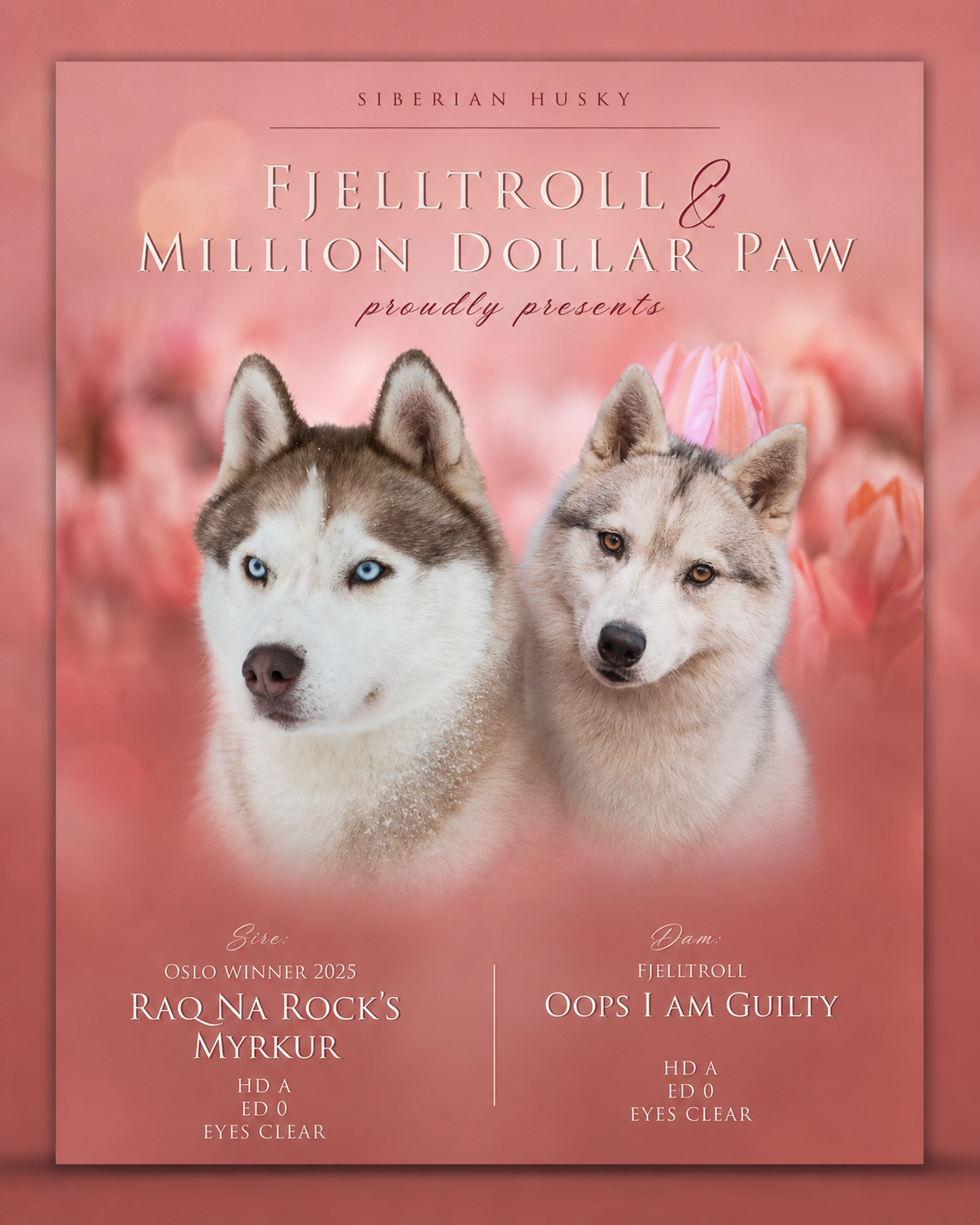 One-kullet, 1 valp